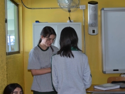 Ciberbullying