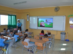 Ciberbullying