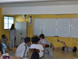 Ciberbullying