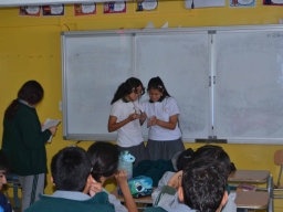 Ciberbullying