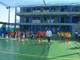 Día de la Actividad Física 2024