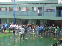 Día de la Actividad Física 2024