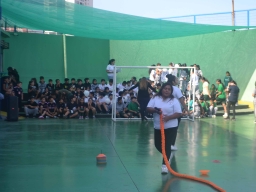 Día de la Actividad Física 2024