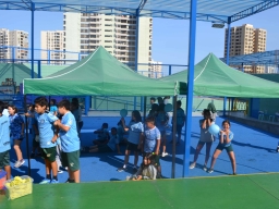 Día de la Actividad Física 2024